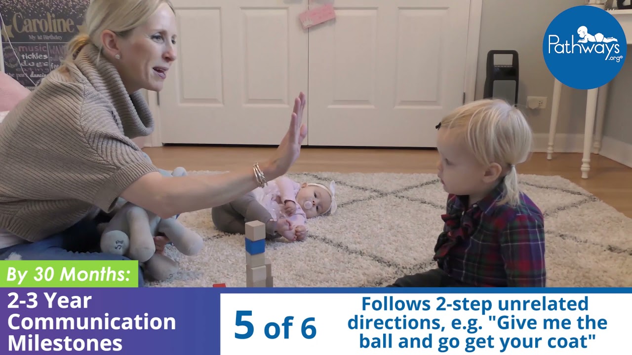 2-3 Year Communication Milestones