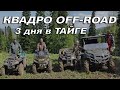 Off-Road на квадроциклах.  3 дня в ТАЙГЕ