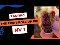 The unique tasting of nv 1
