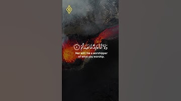 سورة الكافرون كاملة للقارئ عبدالله الخلف  #اكسبلور #القران