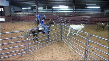 Valley View Ranch - Hannah Merada - sorting 8