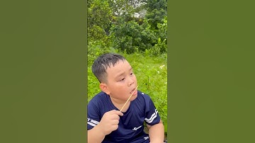 Cậu bé tốt bụng ăn kẹo xiên và cái kết hài hước   🥰😱🍓😎🤪😂 #shorts #ytshorts #funny #shortvideo #fun