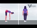 Back Pain Animation