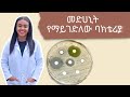 መድሀኒት ያለ ዶክተር ትዕዛዝ መውሰድ የሚያመጣው ችግር Antibiotic Sensetivity Testing መድሀኒት ያለ ዶክተር ትዕዛዝ መውሰድ የሚያመጣው ችግር Antibiotic Sensetivity Testing