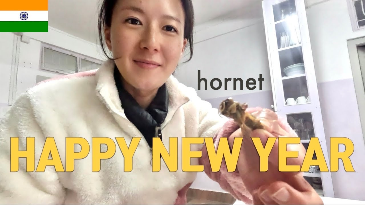 Korean Girl Tries Hornets in Nagaland | First Vlog of 2025 in Tuophema - Botsa