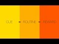 Habit Formation and Development Quiz
