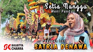 SETIA NUNGGU (Indah waty) Vocal Wentino Pandu - singa depok SATRIA DENAWA di Pegagan lor