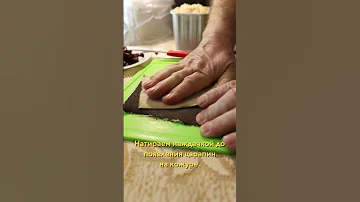 Экзотическое растение для дома. Финиковая пальма из косточки