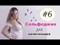 СОЛЬФЕДЖИО для начинающих. Рабочая тетрадь Калинина 1класс. Урок №6 / Милли