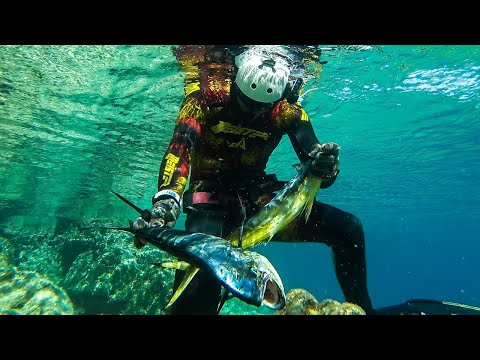 Video: Hvordan Velge Finner For Spearfishing