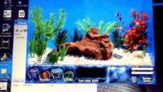HOW TO GET FREE MONEY ON FISH TYCOON!!!