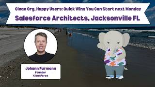 The Architect's Guide to a Cleaner Salesforce Org