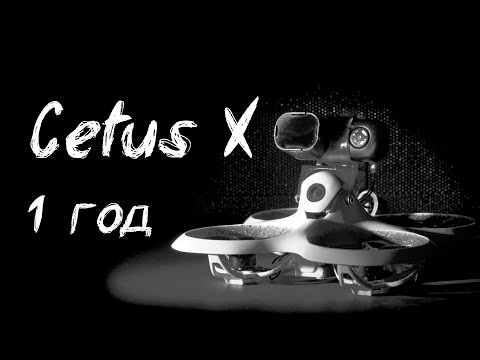 Видео: 1 год с Betafpv Cetus X