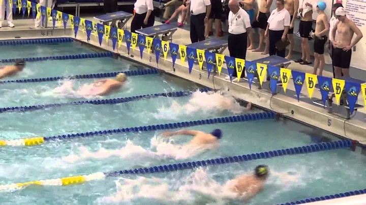 David Crossland - 100Y butterfly - Delaware States...