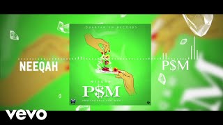 Neeqah - P.S.M (Professional Side Man)