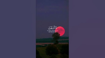 تلاوة من سورة يونس🌹قرآن كريم 🌹القارئ عبد الرحمن مسعد 🌹