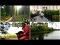 Сургут: Парк &quot;За Саймой&quot;.Ондатры, чайки, утки. Поехали на площадку, а прогулялись по парку.