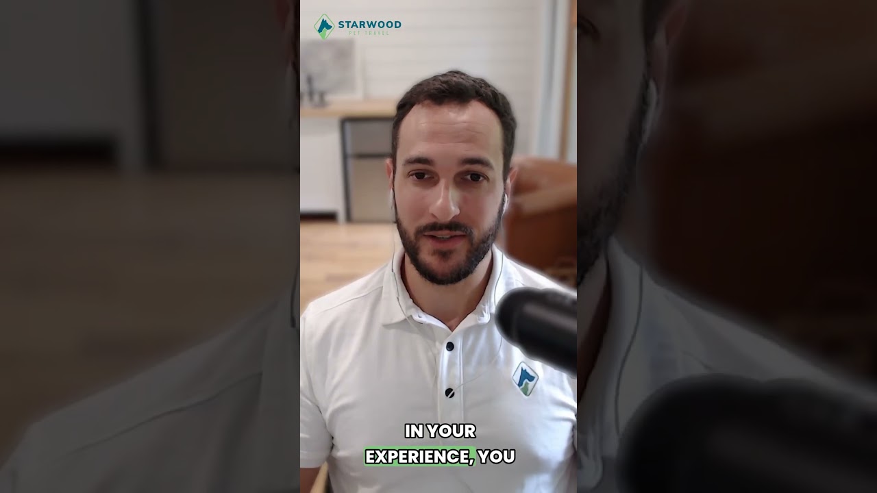 Do Layovers Speed Up Pet Customs in Europe? 🐾✈️