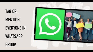 4 Ways To Tag or Mention Everyone in WhatsApp Group