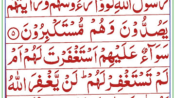 ll  Surah Al Munafiqun ll peaceful & Heart Touching ll / سورة المنافقون ll هادئة