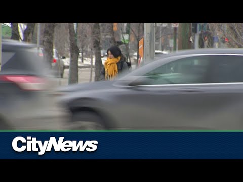 ვიდეო: რატომ იკრძალება ფეხით მოსიარულეები კანადაში?