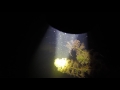 подводная охота с лазерным прицелом 3