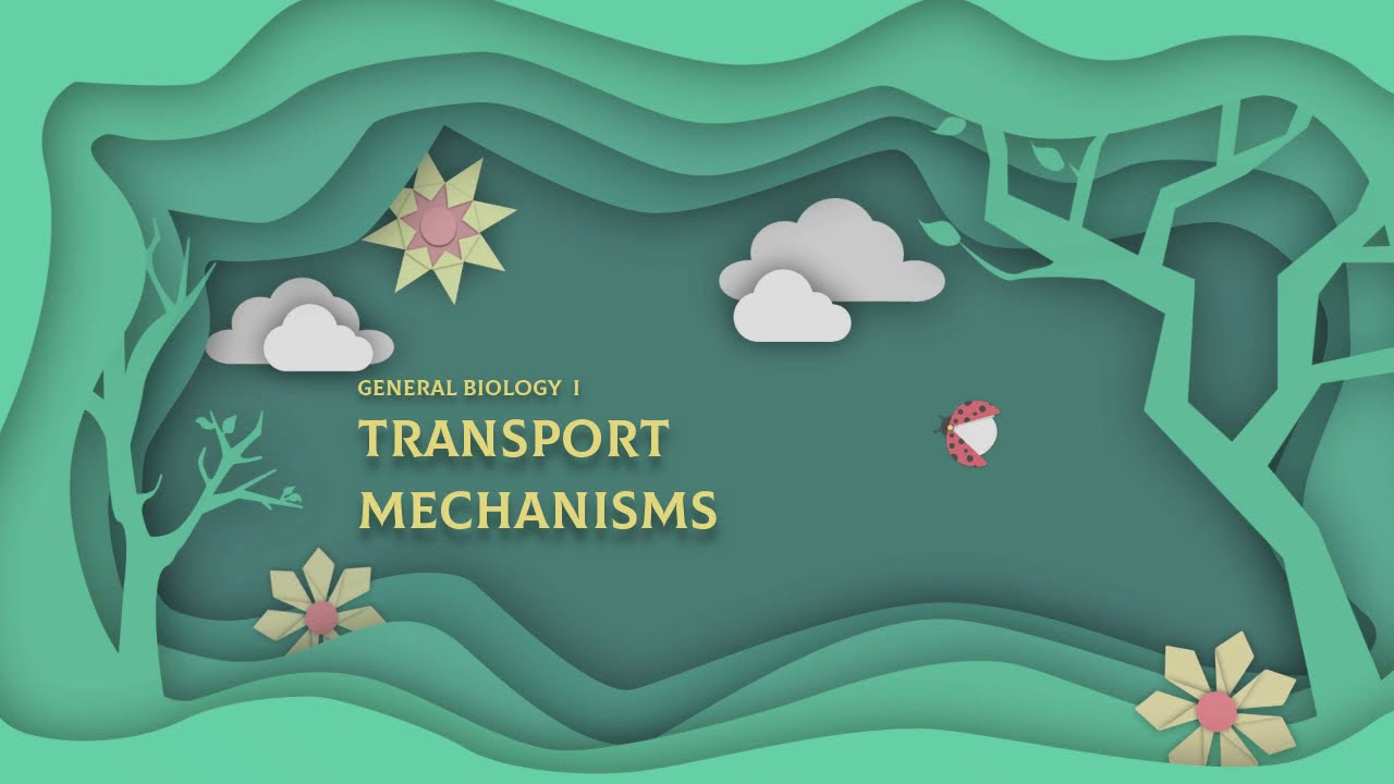 General Biology I Transport Mechanisms Part 2 YouTube