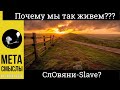 Жизнь в США. Что я понял через 8 лет.