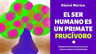 EL HOMBRE ES UN PRIMATE FRUGÍVORO