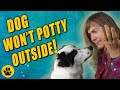 Potty Train Rescue Dog - Dog Won't Go Potty Outside!