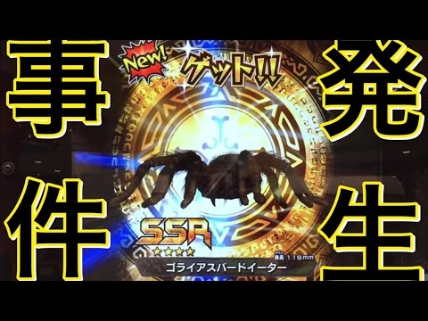 大事件発生]新甲虫王者ムシキング 激闘2弾 SSR ゴライアスバード