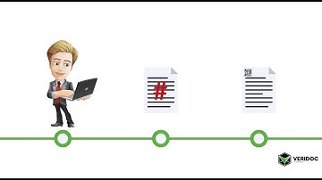 VeriDoc Global Explanation Video