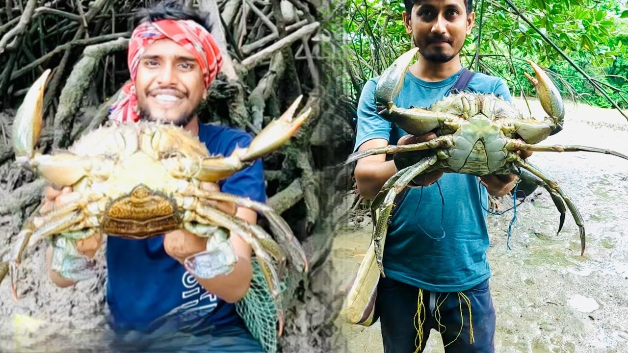 আজ 10,000 টাকার কাকড়া বিক্রি করলাম @ANDAMAN_HUNTERS