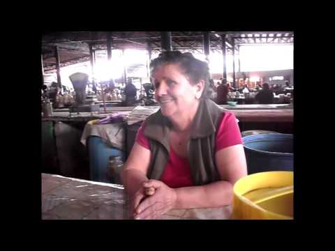 ახალგაზრდული ინიციატივა-მაკა ბოტკოველის ბლოგი