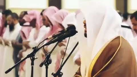 حالات واتس اب قران كريم للشيخ ياسر الدوسري