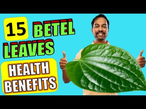 15 Amazing Benefits Of Betel Leaves (Paan Leaves) Nobody Told