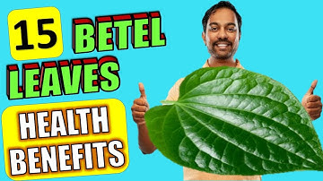 15 Amazing Benefits Of Betel Leaves (Paan Leaves) Nobody Told You