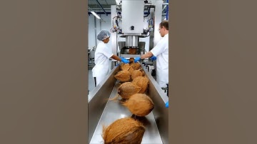 Coconuts are broken hydraulically in the factory.#ModernFactory #Manufacturing