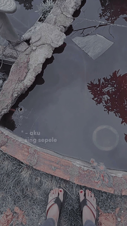 aku sadar diri aku sadar posisi • story wa 30 detik lirik lagu