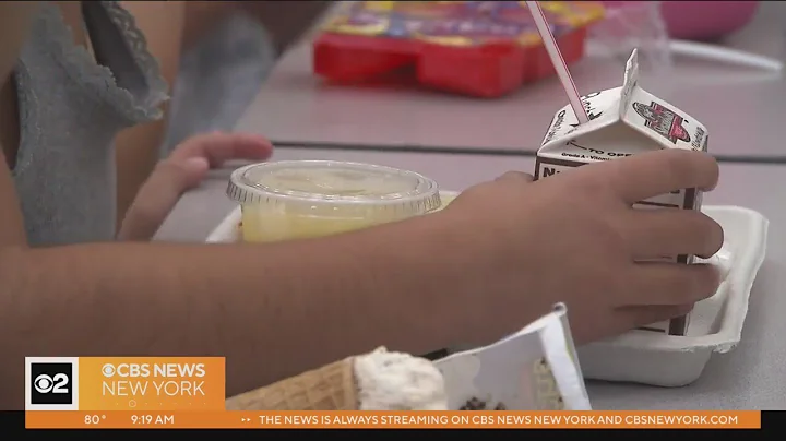 New York kids can access free summer meals with just a text
