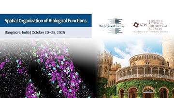 Bacterial 3D Genome Folding: Lessons From Pseudomonas Chromosom by Vicky Lioy Poltroneri
