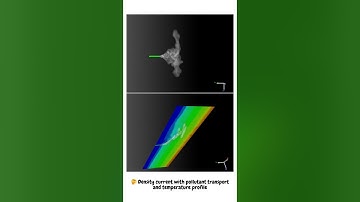 CFD simulation of density current with pollutant transport