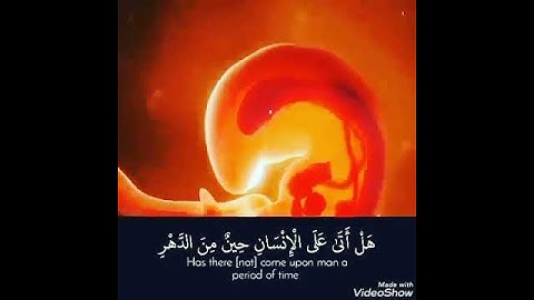 هَلْ أَتَىٰ عَلَى الْإِنسَانِ حِينٌ مِّنَ الدَّهْرِ | القارئ ناصر القطامي ( سورة الإنسان)