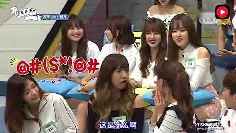 Apink普美跟Gfriend俞宙的外星语对话，车太贤惊呆了 - 天天要闻