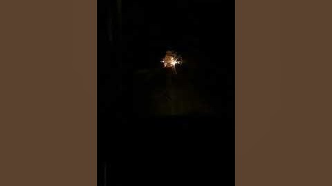 NH66 Highway MSRTC Night Express Bus Overtaking.