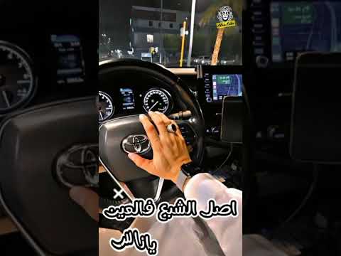 ملعون أبوها فلوس