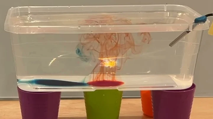 6.3 Lesson 10 Fluid convections results for conditions A-D at 8x