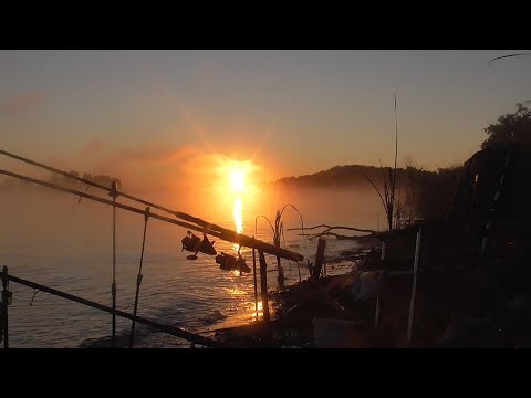 Крупный Осенний Карась. Ночная рыбалка