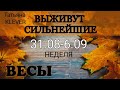 ВЕСЫ (31.08 по 6.09). Недельный таро прогноз. Гадание на Ленорман. Тароскоп.