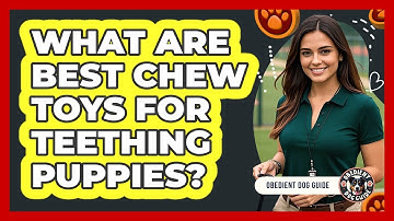 What Are Best Chew Toys For Teething Puppies?